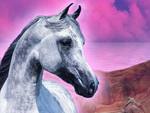 The Pink Sky Horse