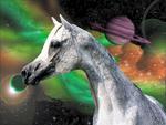 The Space Horse