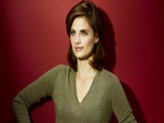Stana Katic