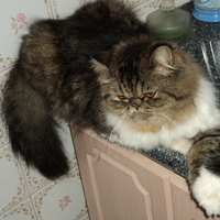 Bianca in the bathroom