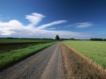 Straight country Road