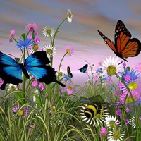 Beautiful Butterflies