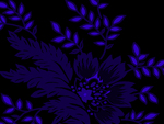 Midnight Blue Flowers