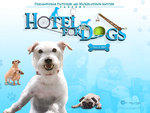 The Dog Movie