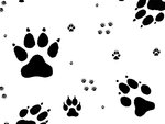 Wolf Paw Prints