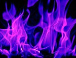 Purple Flames