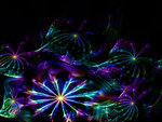 Multicoloured Fireworks