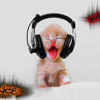 trance cat