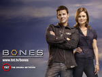 BONES