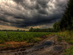 A Storm building over Strawberry Fields