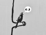 Banksy Woodpecker