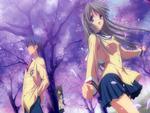 Clannad - enjoying the sakura blossoms