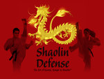 shaolin defense