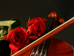 Music of love