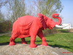 Red Elephant