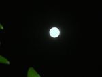 Full moon march 19,2011