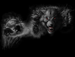 WereWolf Wallpaper