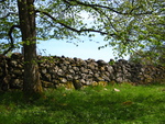 Stone Fence