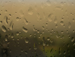 Rain Drops
