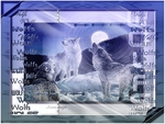 Wolfs in Frame