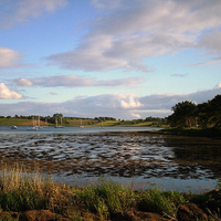 strangford lough killyleagh co down