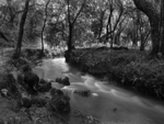 Stream in Black & White