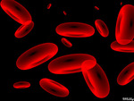 Blood Cells