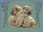 Two wrinkled friends