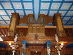 organ