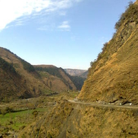 Nature is amazing....