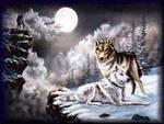 Wolfs in the Moonlight