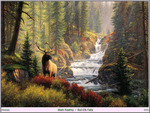 Bull Elk Falls
