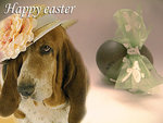 Easter dog