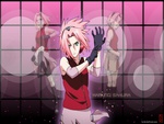 Haruno Sakura