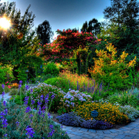 Beautiful garden