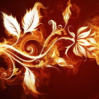 Flaming Flower Desktop