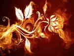 Flaming Flower Desktop