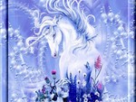 Unicorn fantasy