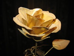  gold rose
