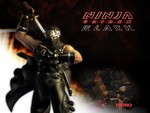 ninja gaiden