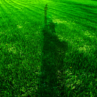Statue of Liberty Shadow