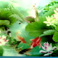 Fishes & Flowers