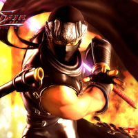 Ninja Gaiden