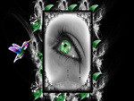 Eye Cry, Hummingbird