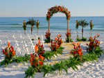 Tropical Wedding