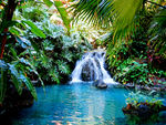 Tropical Fountain