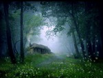cottage  in the mist