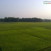 NATUREL BEUTY OF BANGLADESH