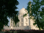 Taj Mahal through trees.