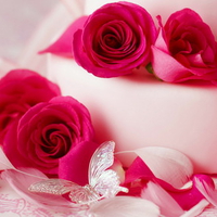 There are no words but 'Thank you'